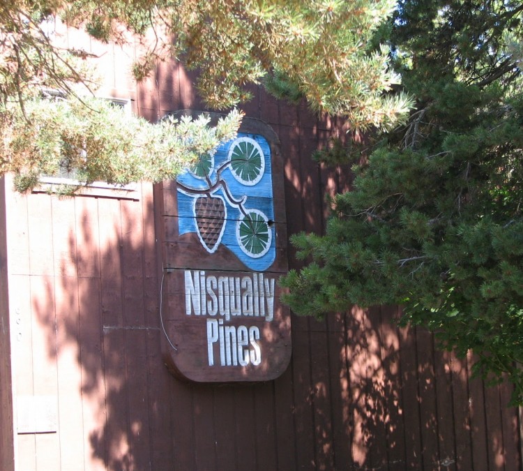 nisqually-pines-pool-photo